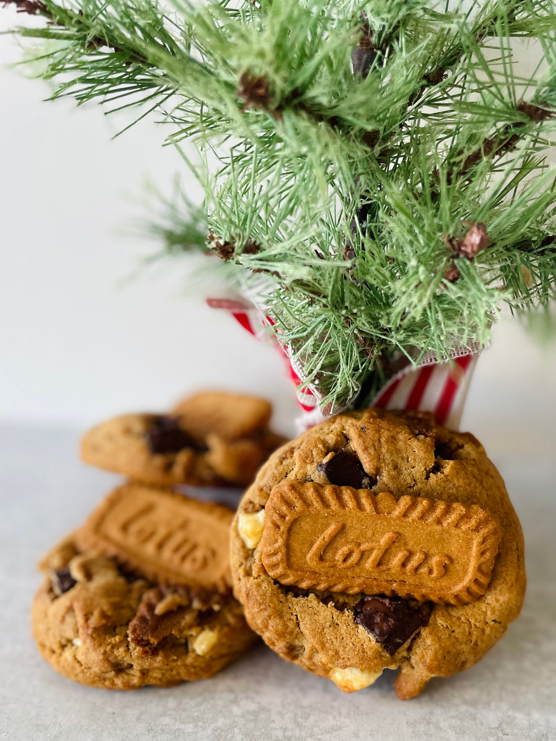 Seasonal Biscoff Cookie