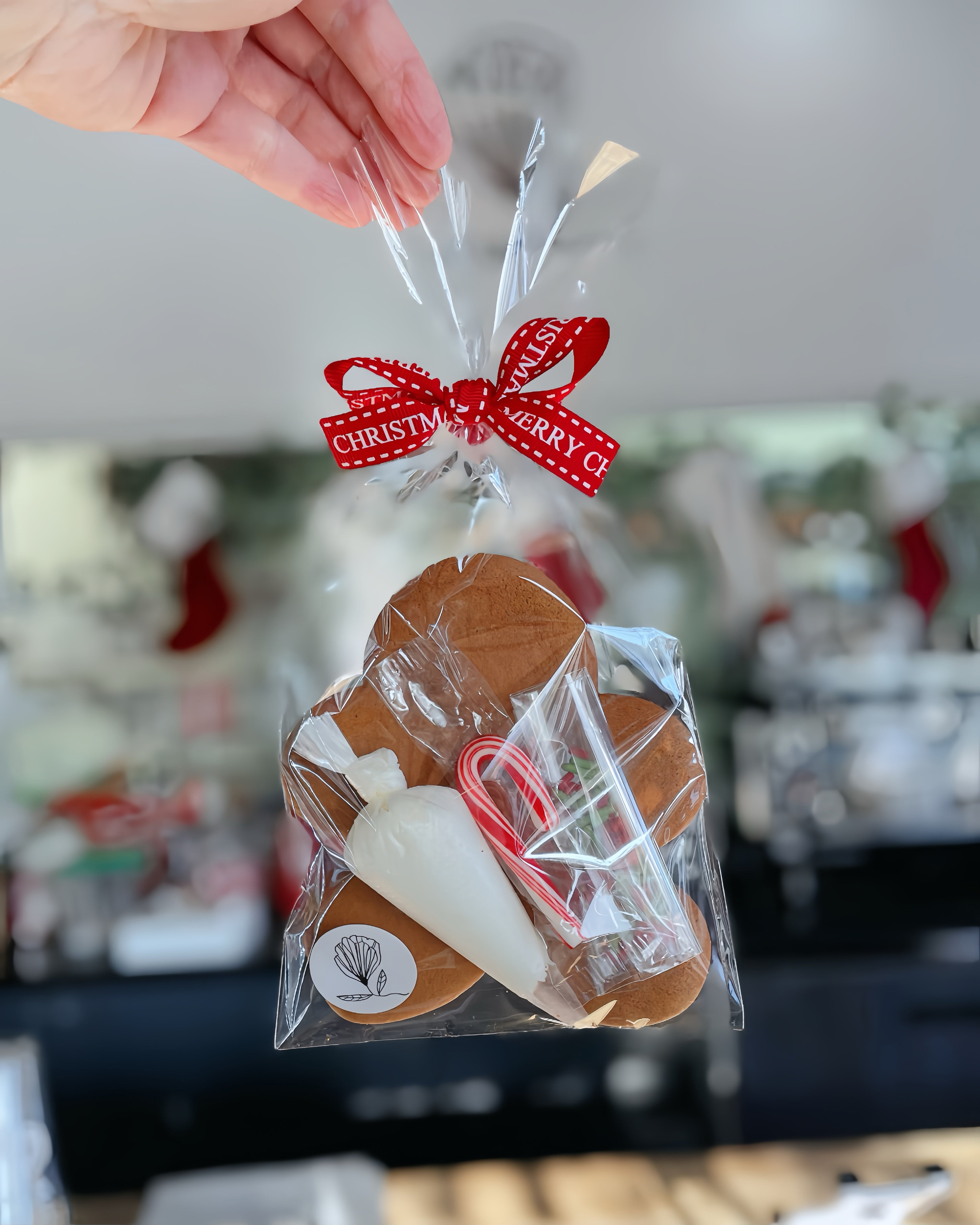 Gingerbread Treat Bag