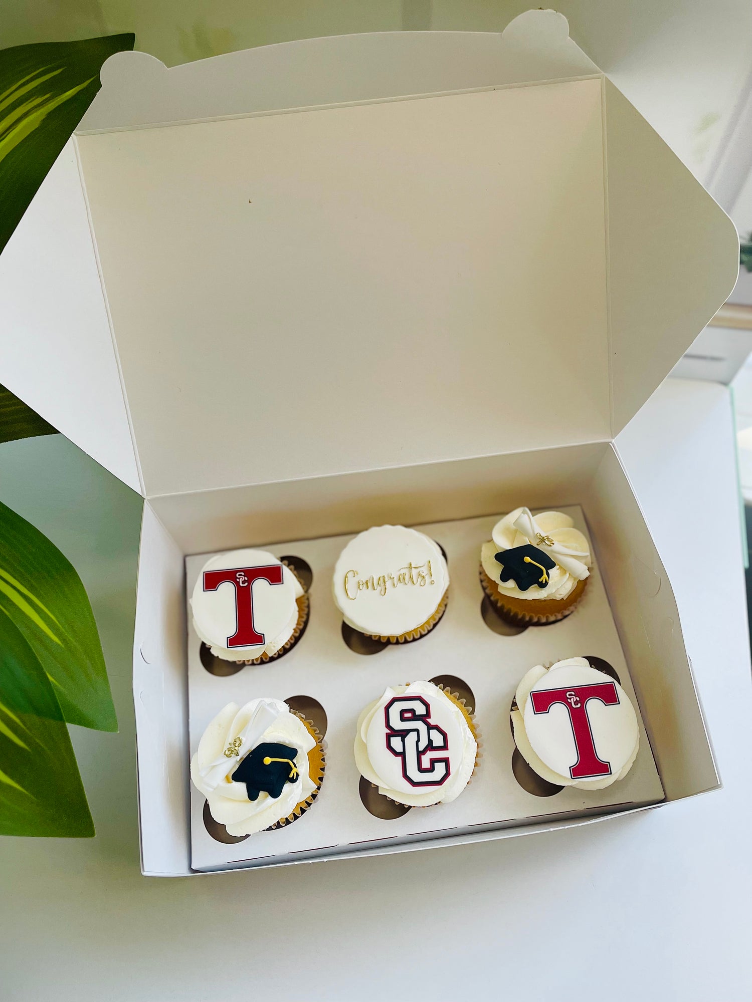 Graduation Cupcake Box