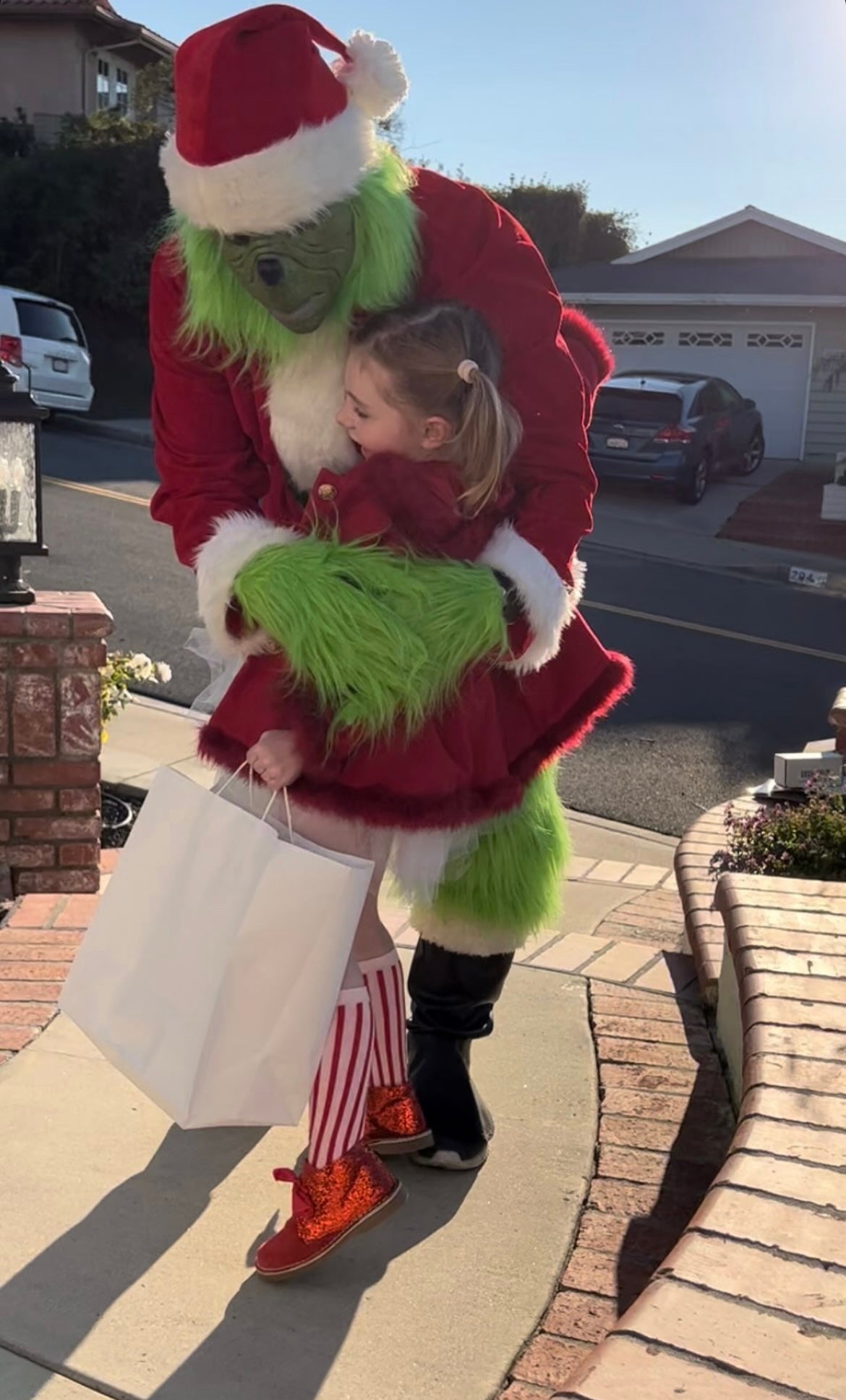 Grinch Delivery