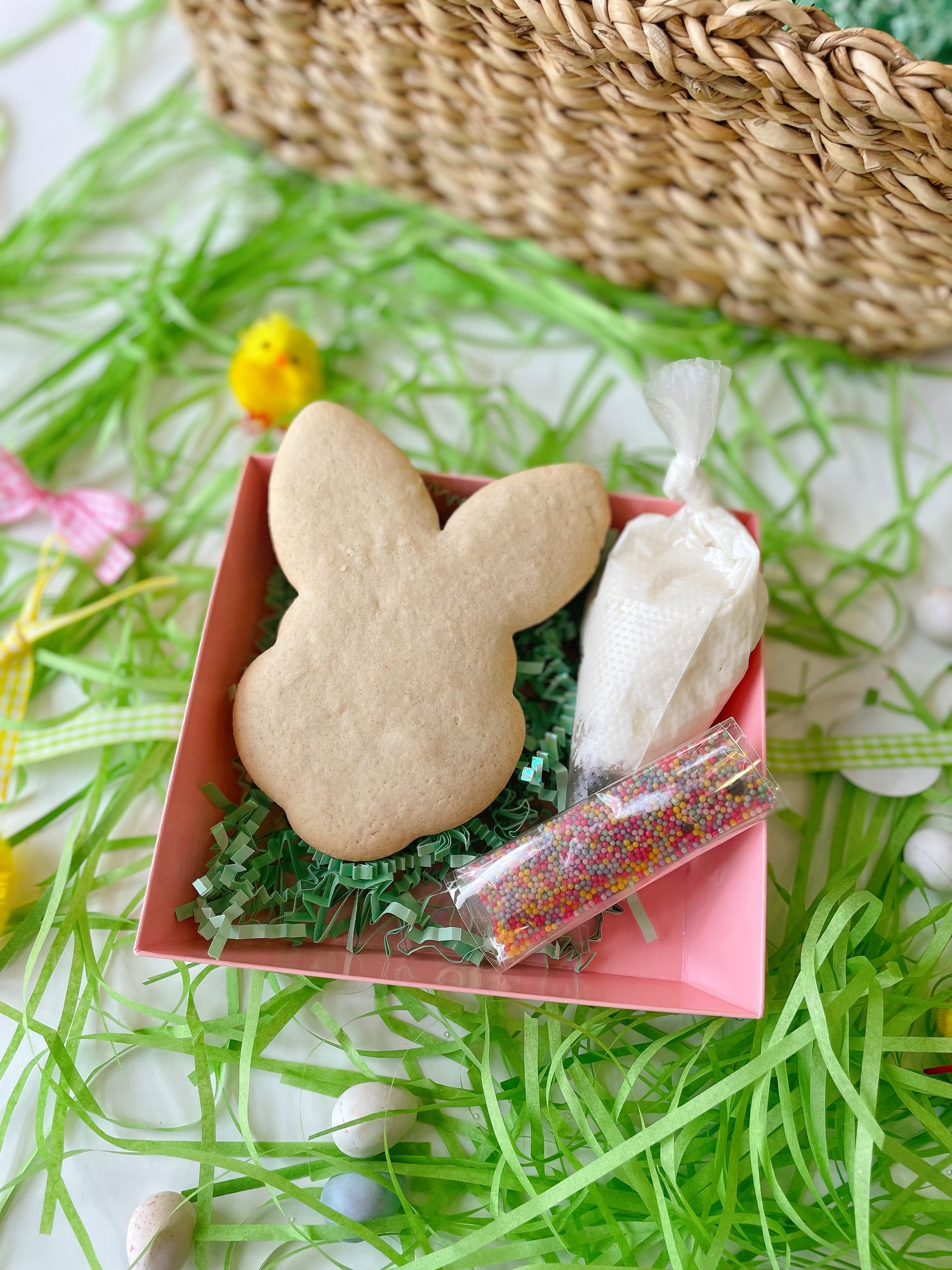 Bunny Cookie Decorating Kit