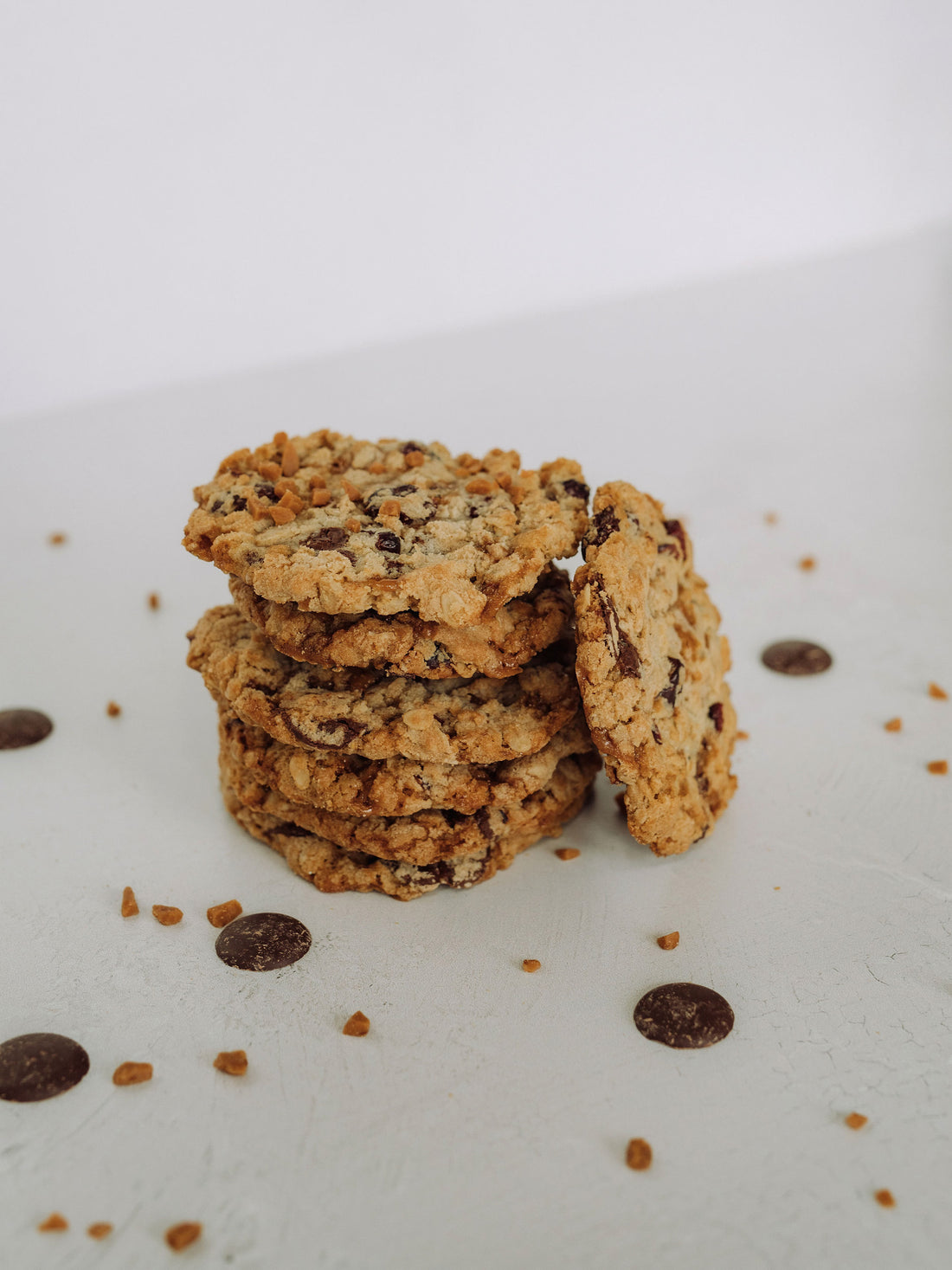 Tsunami Cookie Dozen