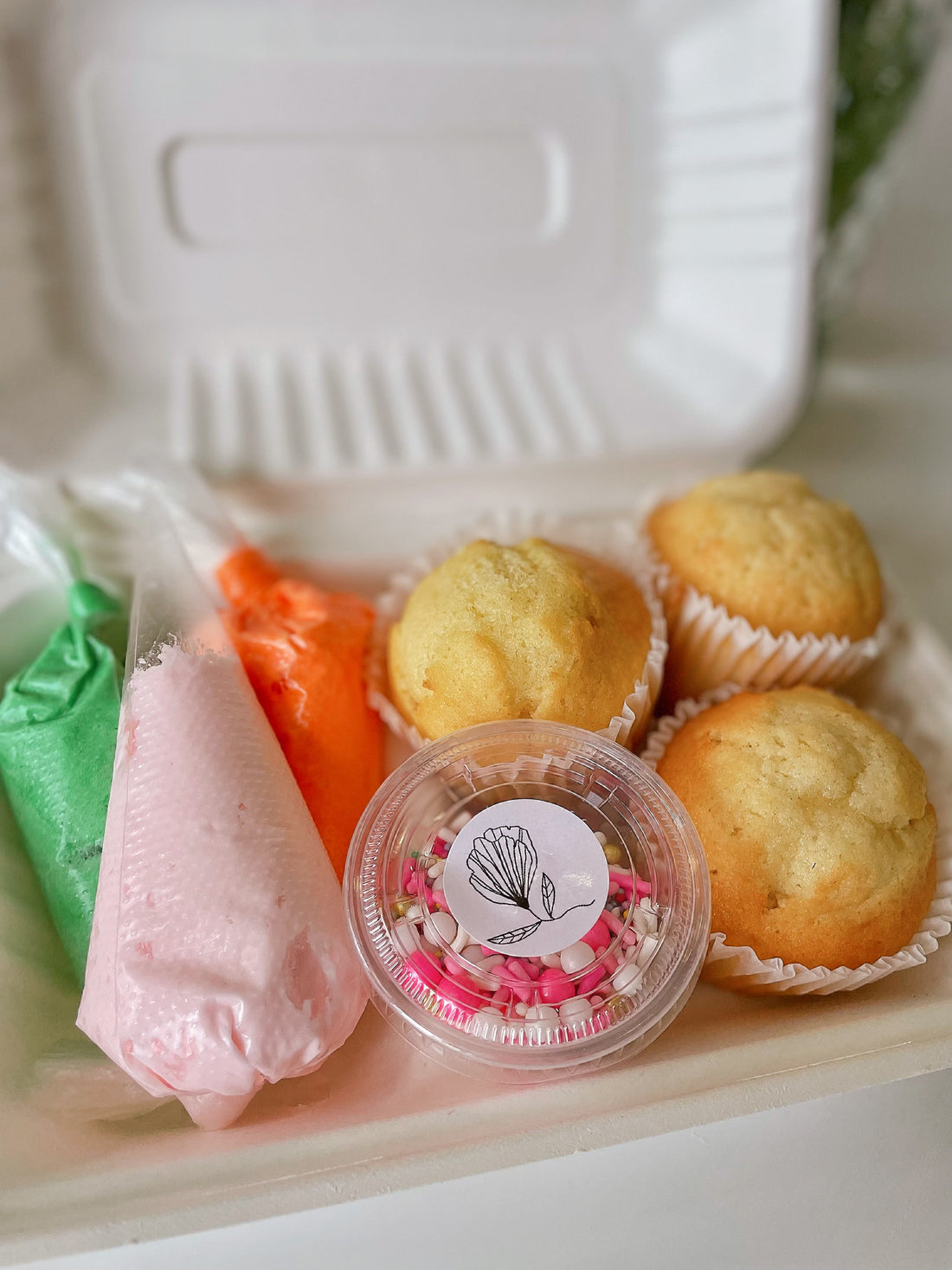 DIY Cupcake Decorating Kit